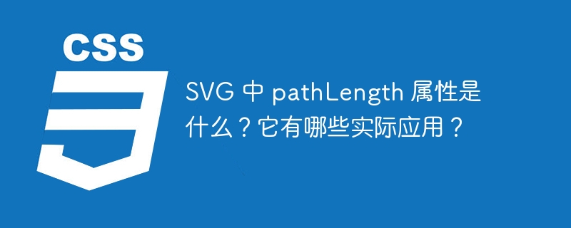 SVG 中 pathLength 属性是什么?它有哪些实际应用?