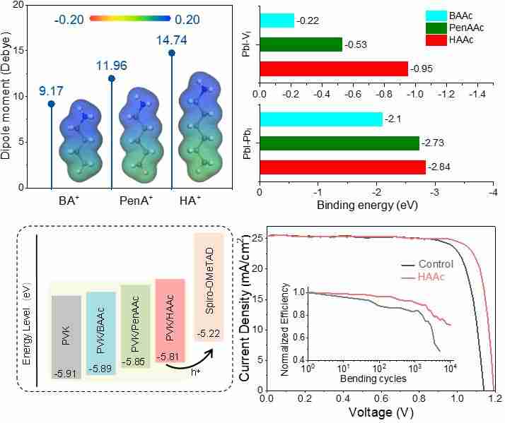 西电郝跃院士团队常晶晶教授等人在柔性钙钛矿太阳能电池机械稳定性和光电转换效率方面取得新进展
