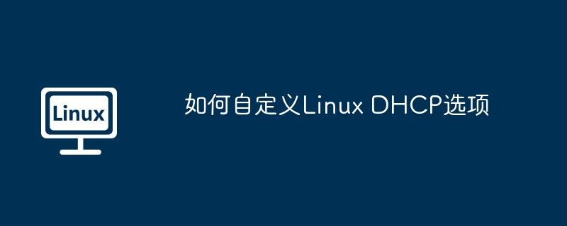 Linux DHCP选项自定义方法