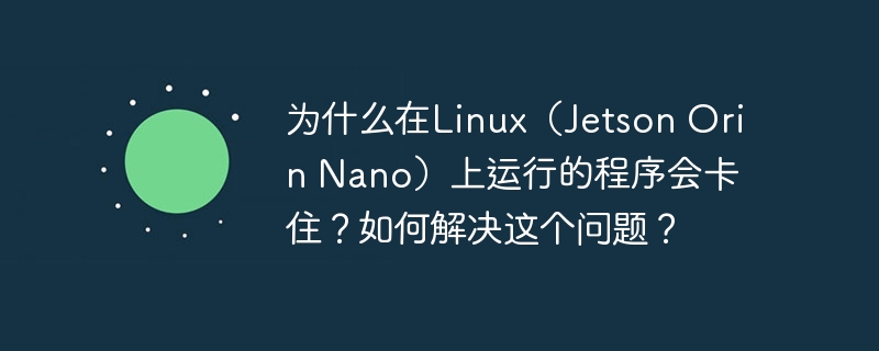 为什么在Linux（Jetson Orin Nano）上运行的程序会卡住？如何解决这个问题？