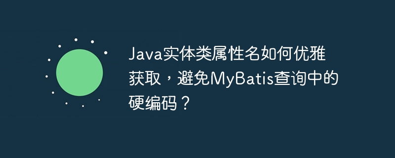 Java实体类属性名如何优雅获取,避免MyBatis查询中的硬编码?