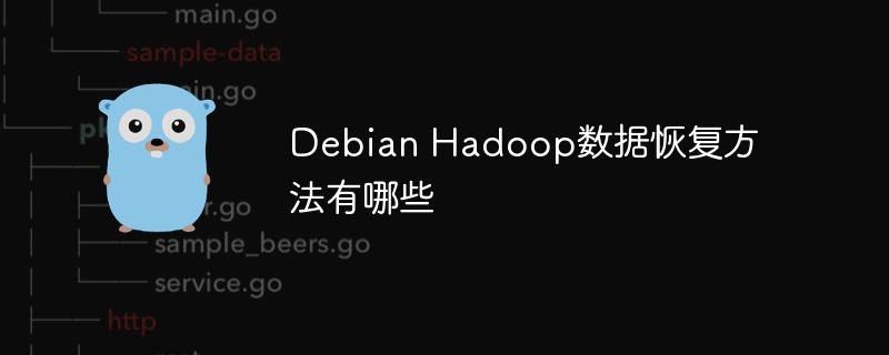 Debian Hadoop数据恢复方法有哪些