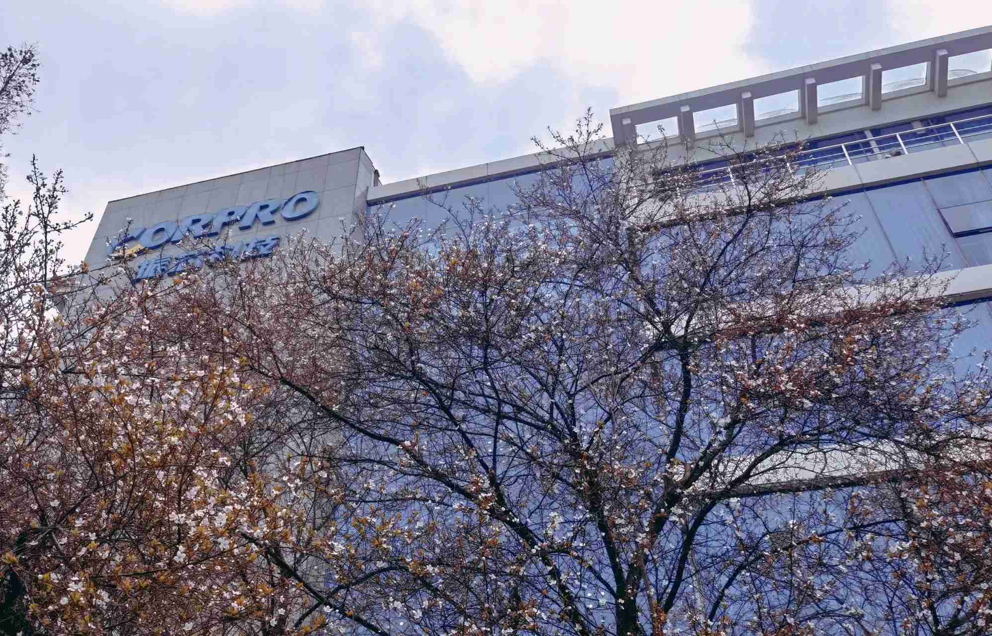 集成电路产品价格下跌，振芯科技2024年净利润同比下降44.91%