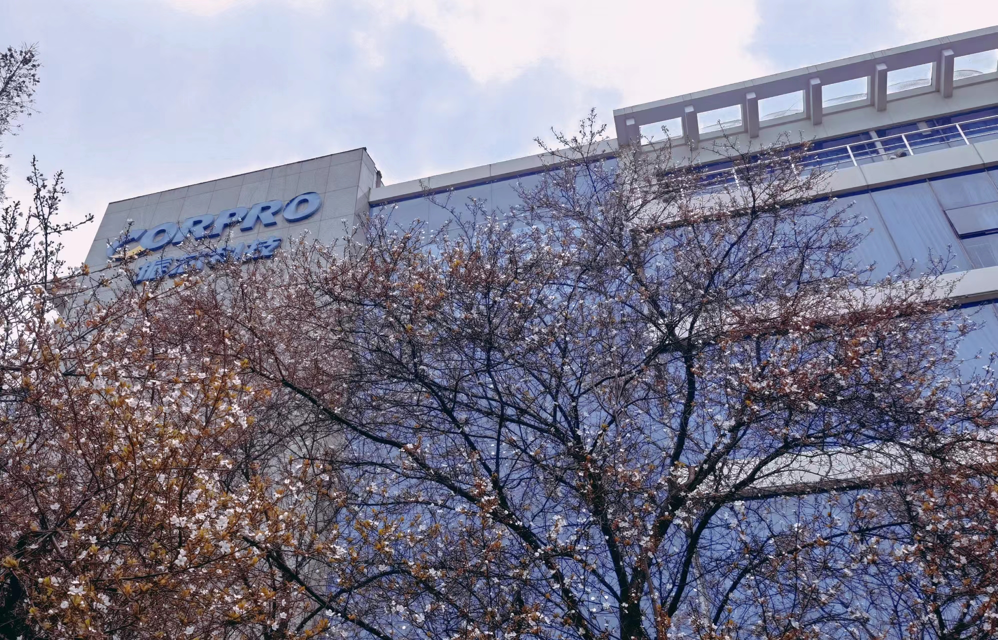 振芯科技2024年净利润暴跌44.91%，集成电路市场遇冷