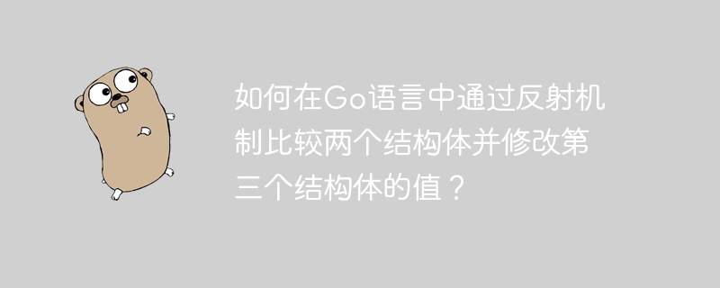 Go语言反射技巧：比较并修改结构体值