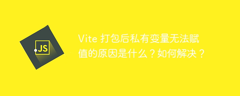 Vite打包后私有变量赋值问题解决攻略