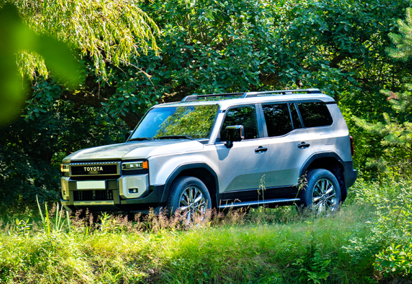 2025年初中国汽车进口暴跌46%，德日品牌占近半