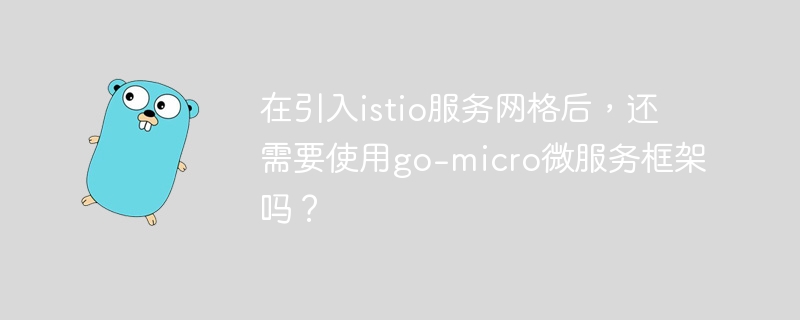 在引入istio服务网格后,还需要使用go-micro微服务框架吗?