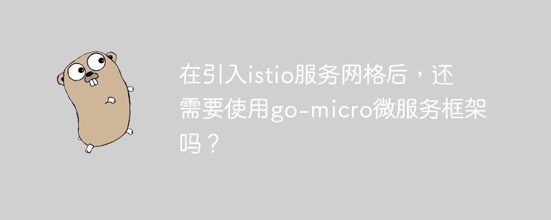 引入istio后，go-micro框架还能用吗？