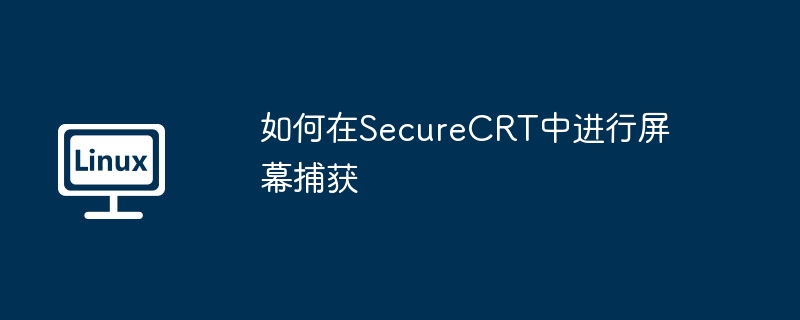 如何在SecureCRT中进行屏幕捕获