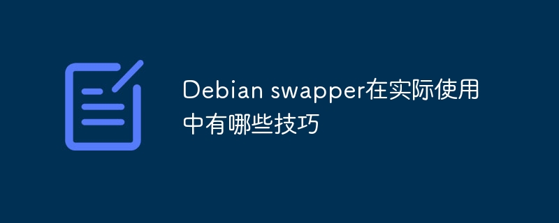 Debianswapper实战技巧与使用经验分享
