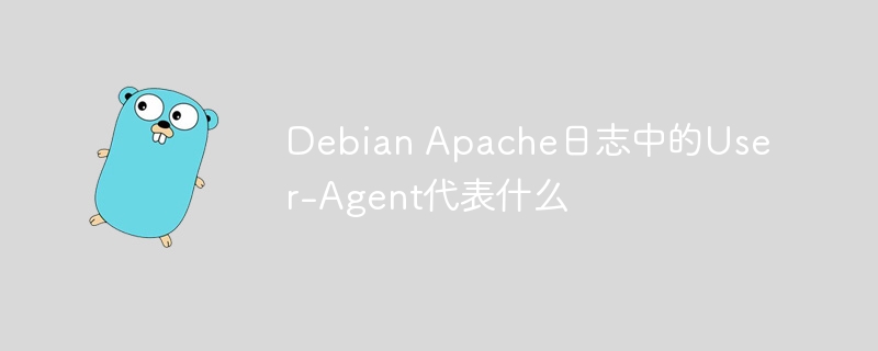 DebianApache日志中User-Agent揭示浏览器及操作系统