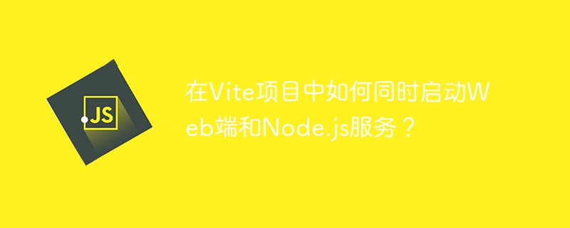 在Vite项目中如何同时启动Web端和Node.js服务？