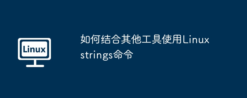 Linuxstrings命令结合其他工具的使用技巧