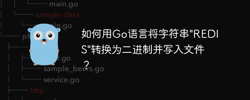 Go语言字符串转二进制写入文件教程