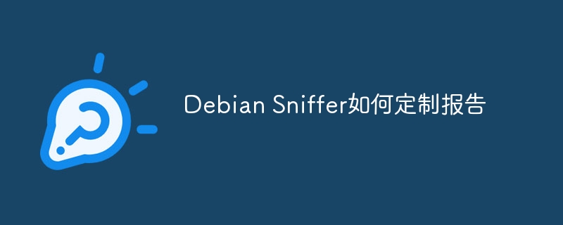 DebianSniffer报告定制攻略及实用技巧