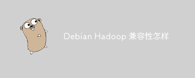 Debian Hadoop 兼容性怎样