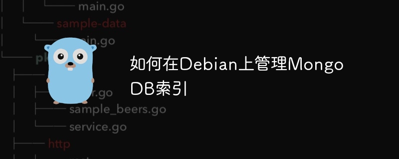Debian上MongoDB索引管理攻略