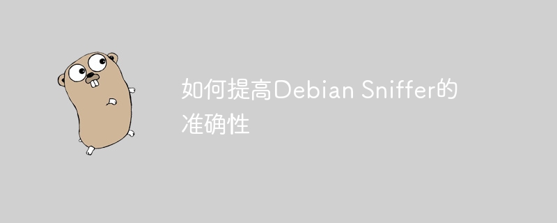 提升DebianSniffer准确性的实用技巧