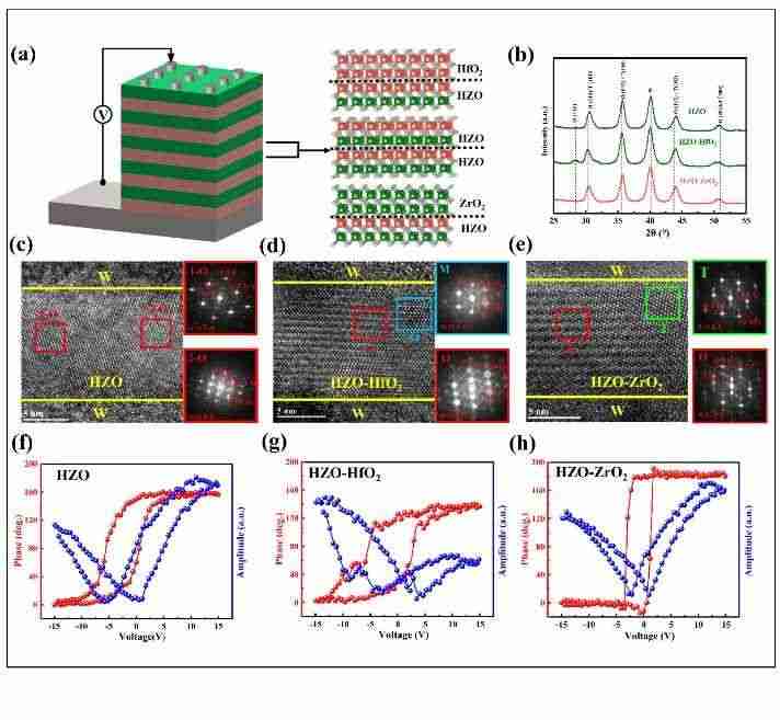 西安电子科技大学周益春教授团队在Advanced Functional Materials发表文章