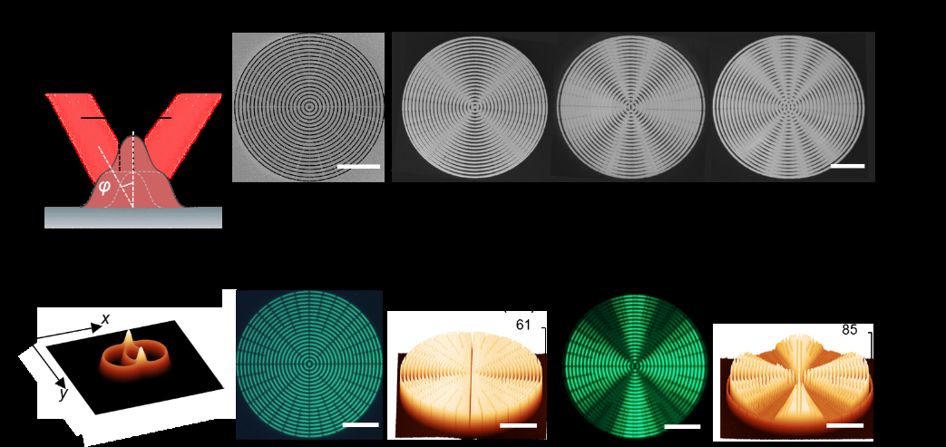 华中科技大学集成电路学院曾双双团队在纳米图案化加工技术领域取得新进展