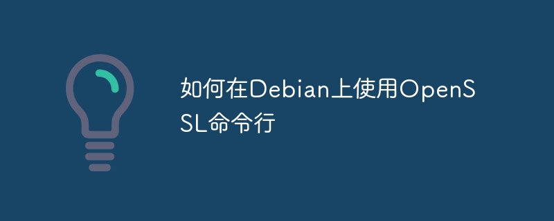 Debian上OpenSSL命令行使用攻略