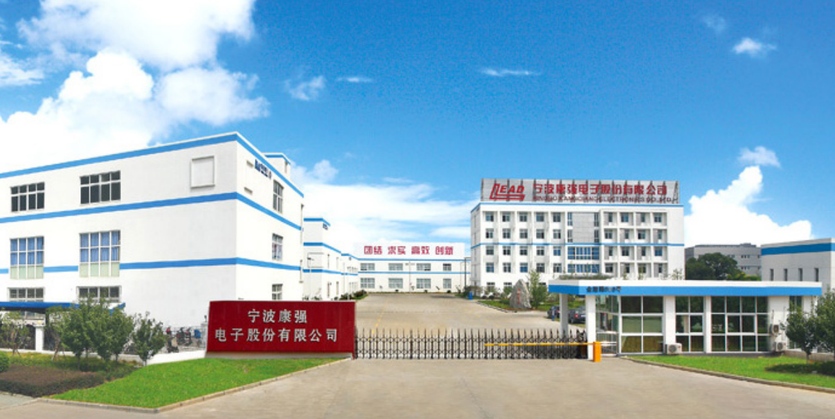 康强电子2024营收19.65亿，净利润增3.24%