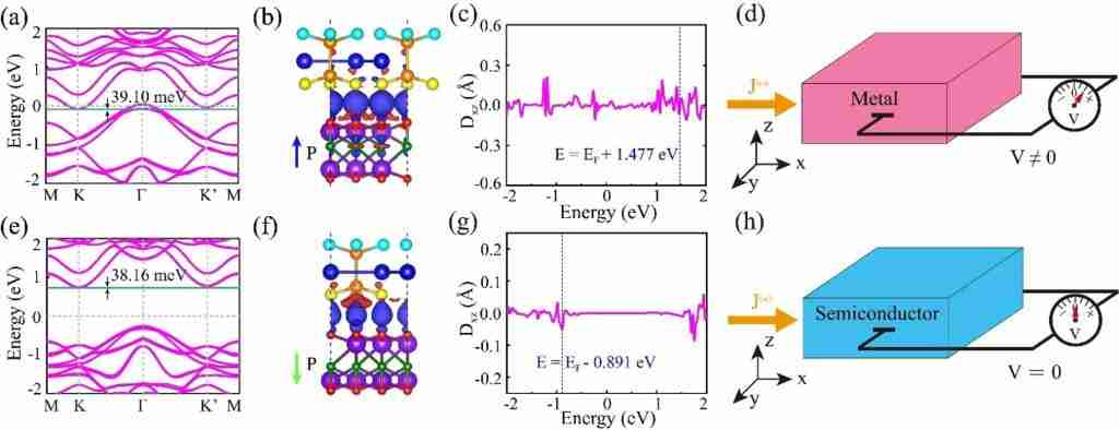 西安交大科研人员在二维材料能谷极化研究方面取得系列重要进展