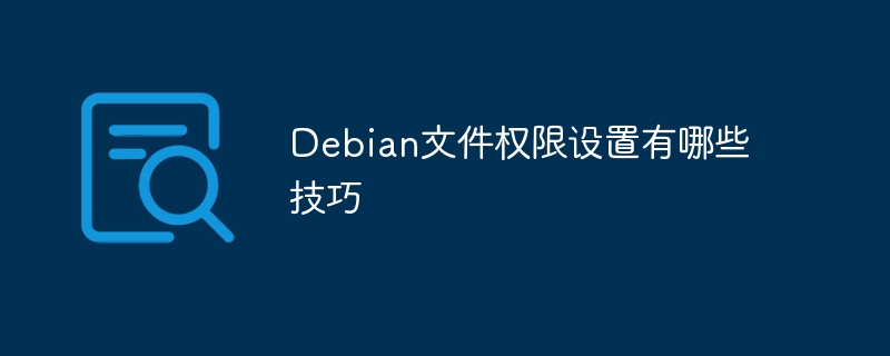 Debian文件权限设置有哪些技巧