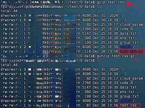 效率翻倍!Linux 文件压缩与解压技术详解