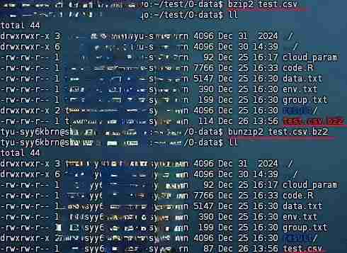 效率翻倍!Linux 文件压缩与解压技术详解