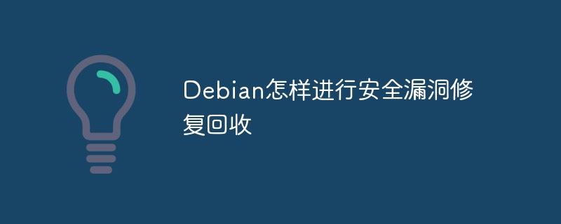Debian怎样进行安全漏洞修复回收