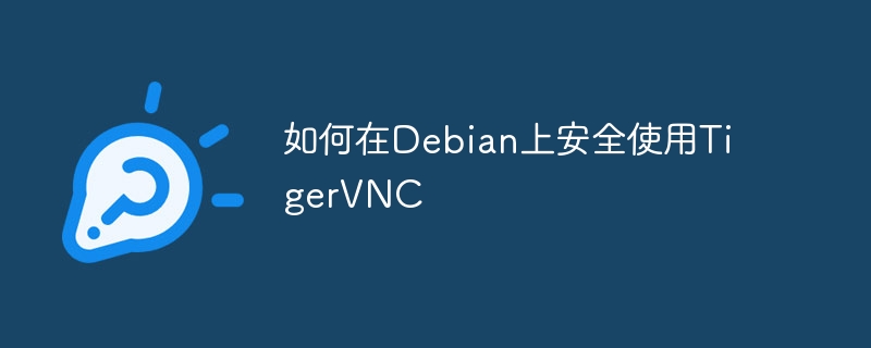 Debian上TigerVNC安全使用攻略