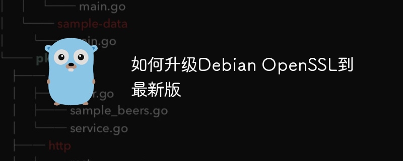 DebianOpenSSL最新版升级攻略