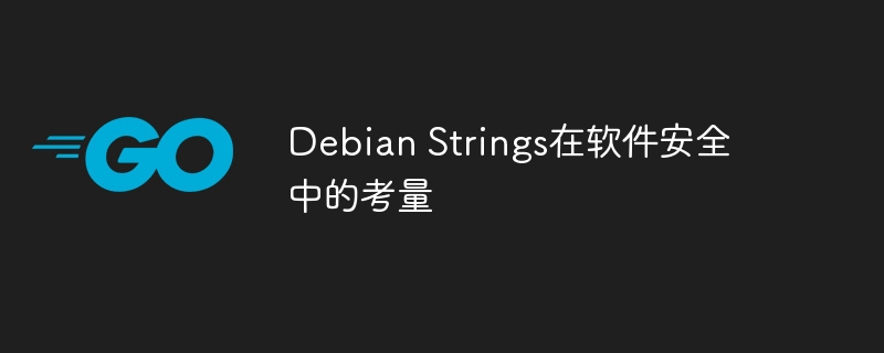 Debian Strings在软件安全中的考量
