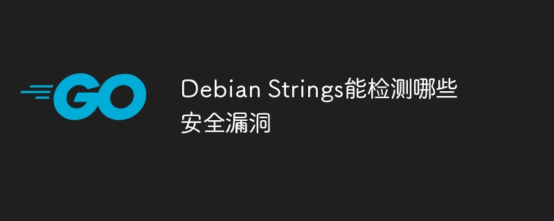 DebianStrings检测安全漏洞及防护指南