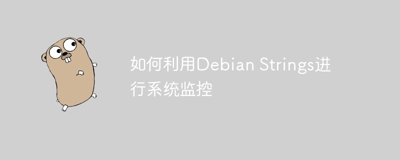 DebianStrings系统监控技巧详解