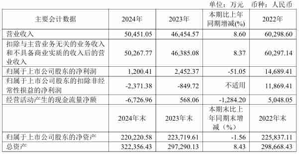壹石通2024年营收5.05亿元,净利润同比下降51.05%