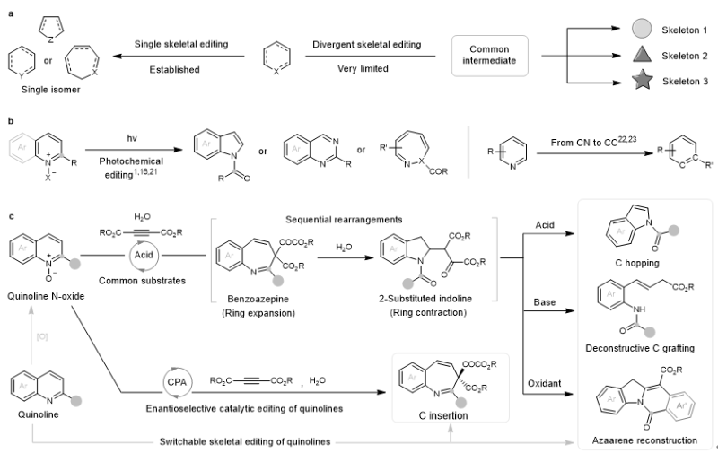 吴华课题组NatureChemistry发文，创新杂环骨架编辑策略