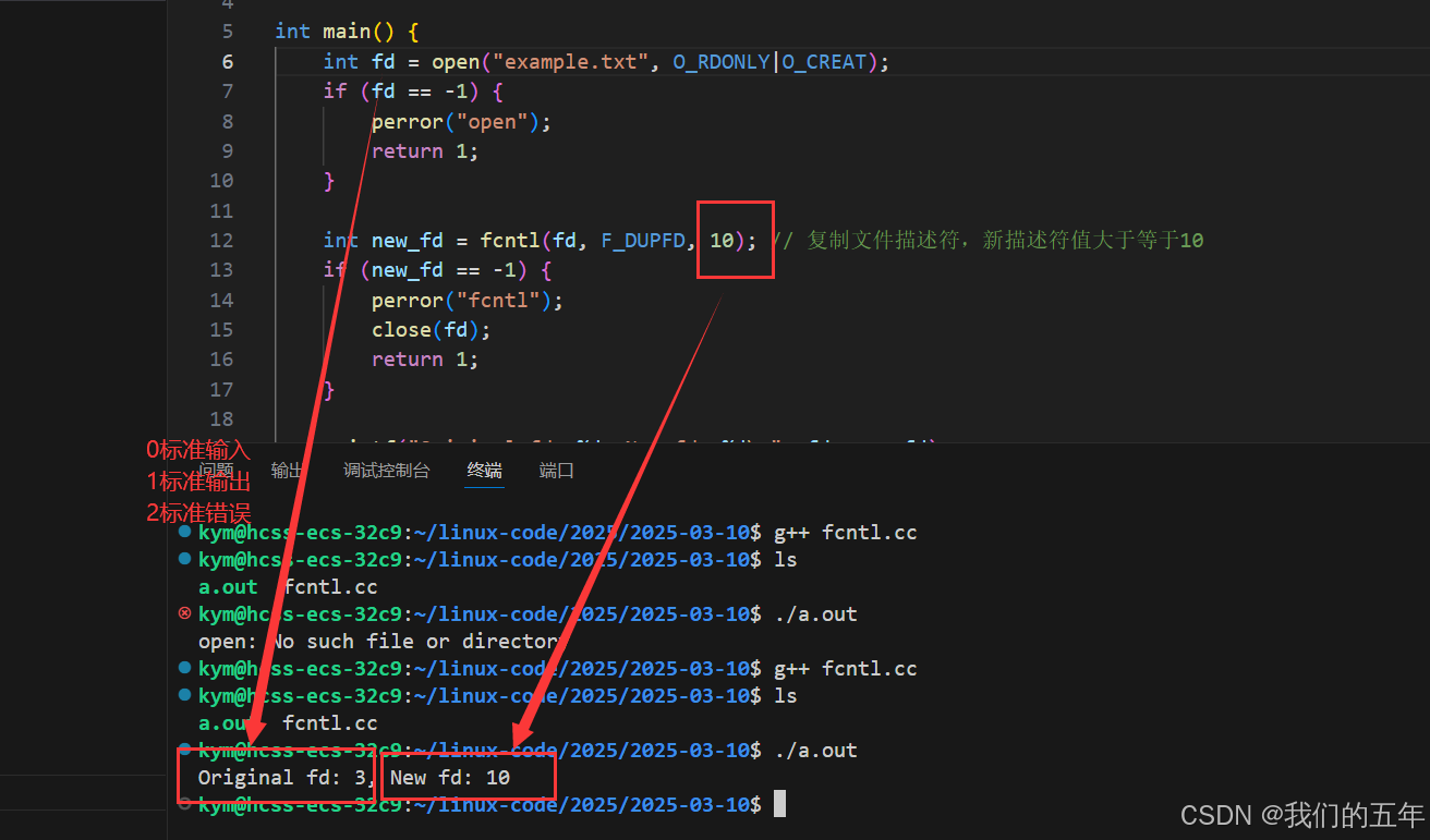 【Linux网络】I/O 世界的技术之旅:探索五种模型与 fcntl 函数的魅力