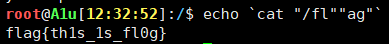 命令执行一些特殊作用的字符 | Linux Bypass