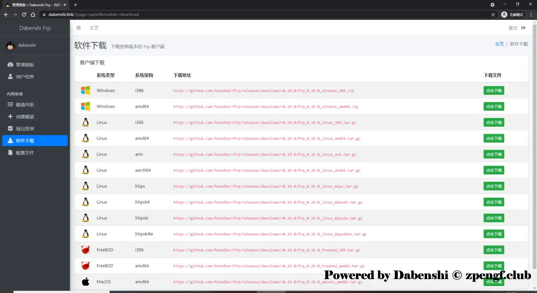Dbenshi Frp项目使用指南