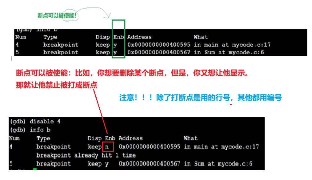 Linux基础开发工具--gdb的使用