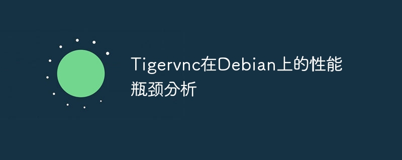 Tigervnc在Debian上的性能瓶颈分析