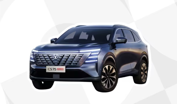 2025Q1中国SUV销量排名：特斯拉Modle Y拿下第一