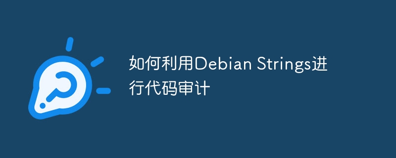 DebianStrings代码审计技巧与实战
