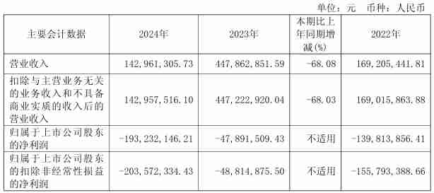 罗普特2024年营收1.43亿元,净亏损达1.93亿元