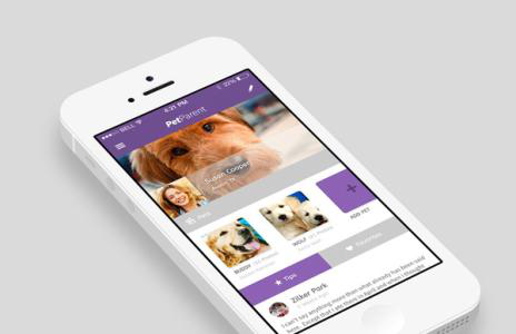 零基础开发宠物店App，成本节省90%