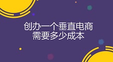 创办垂直电商成本及平台搭建指南