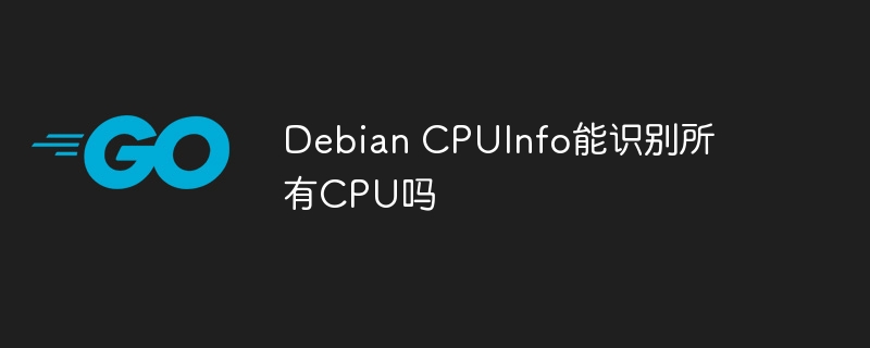 DebianCPUInfo能识别大部分CPU吗
